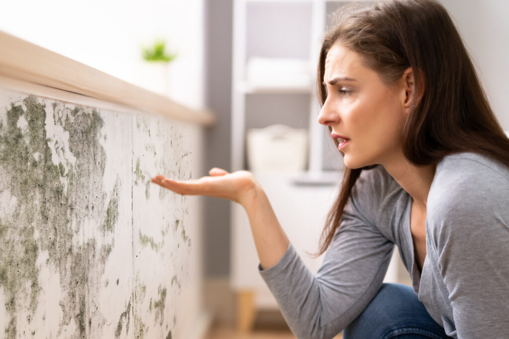 Plumbing Leak Repair in Simpsonville